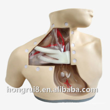 Advanced Parenteral Alimentation Nursing simulator&Training model